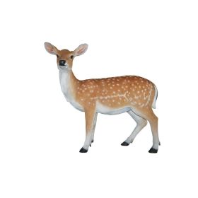 Real Life Fallow Deer - B 